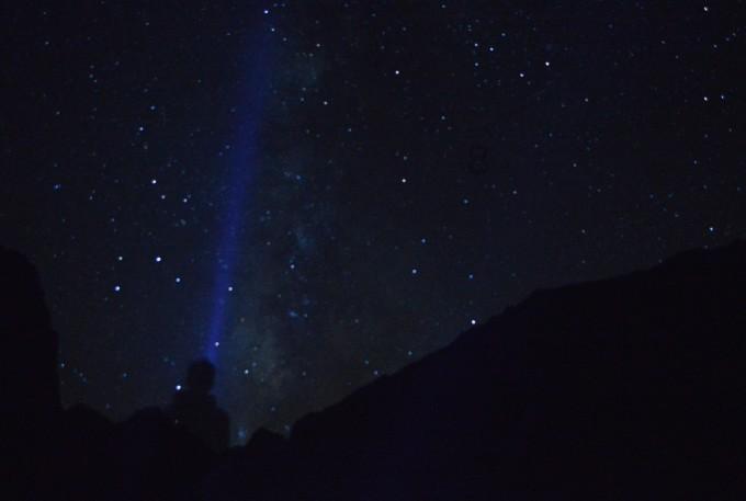 动物狂欢夜