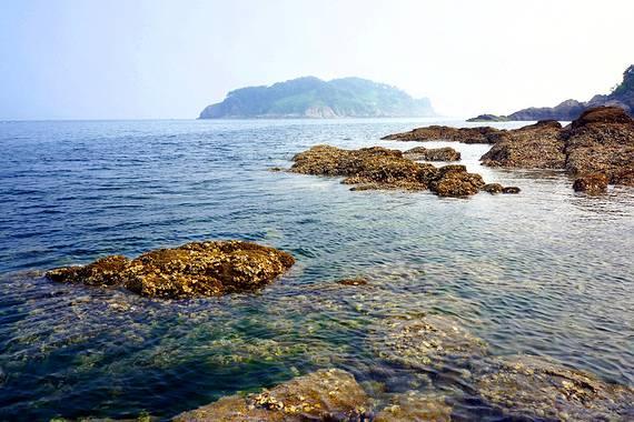 镇江高资：腊月至年味浓，馒头香里盼团圆