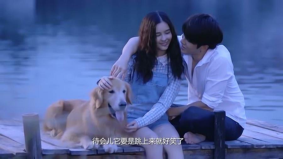 小猫钓鱼游戏龙王版有船