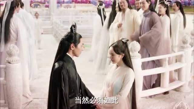 动物拼一拼