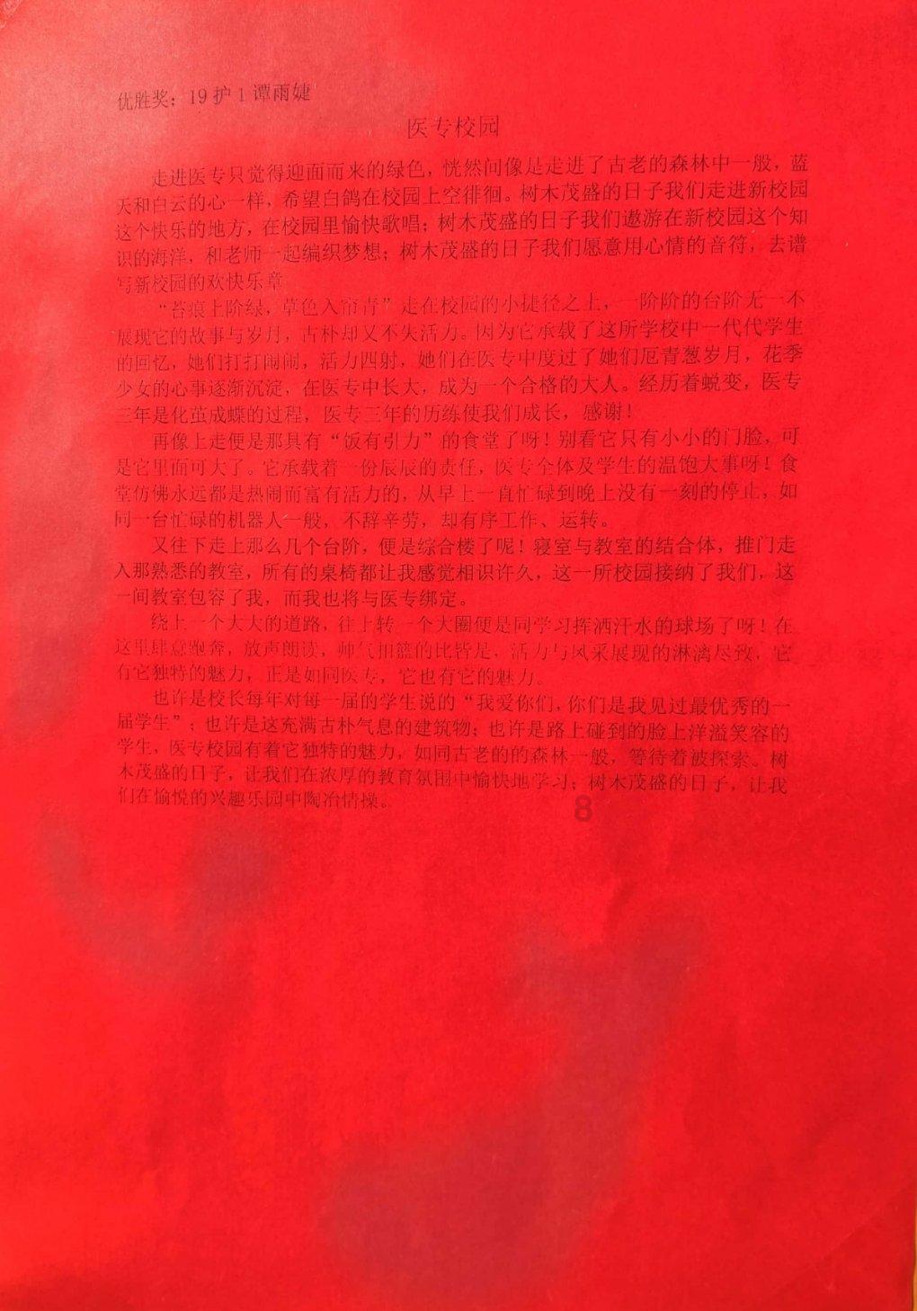 动物狂欢夜
