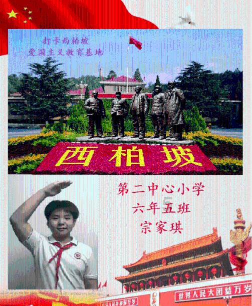 逗小猴开心系列206