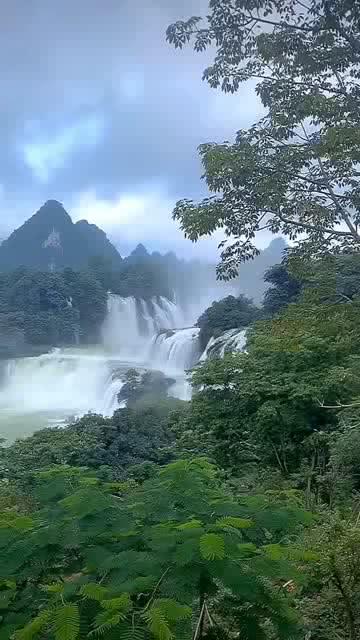 88影视