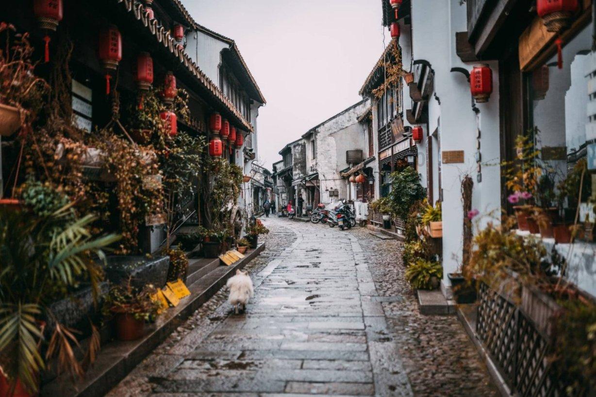 深圳新东方文旅首发团启程
