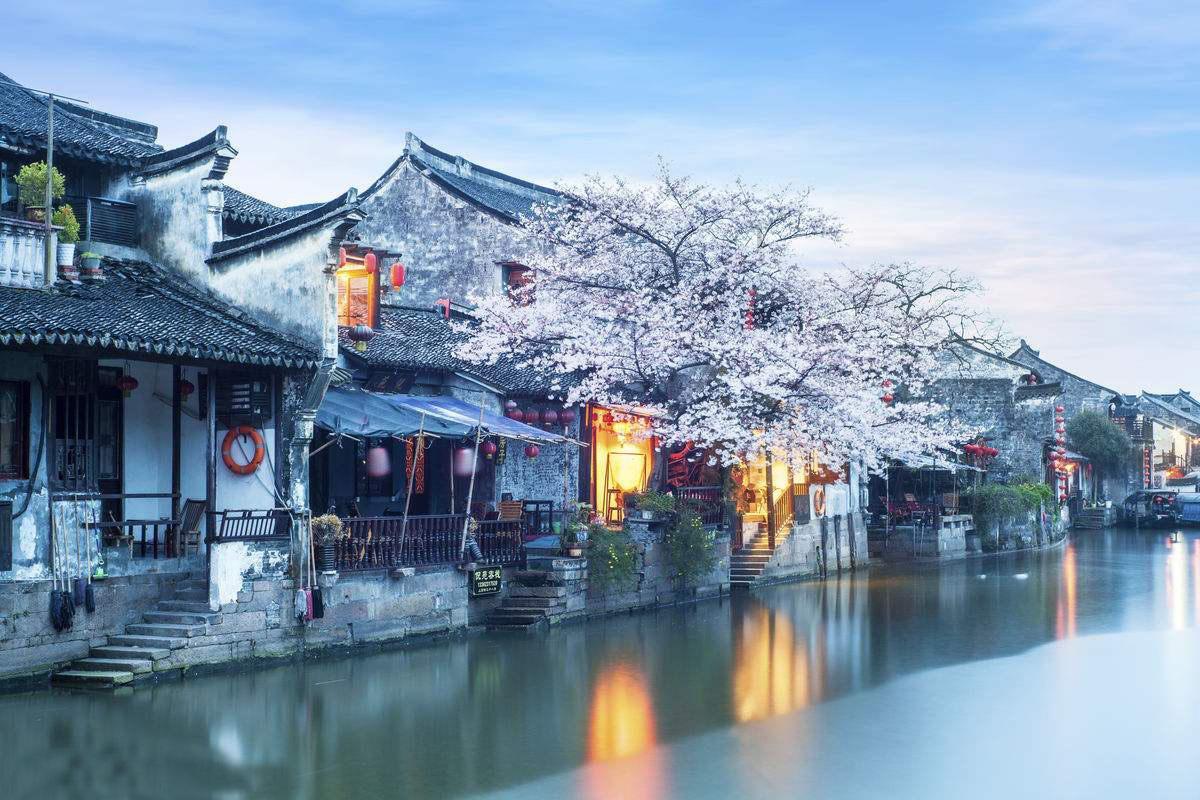 逃离野丛之森